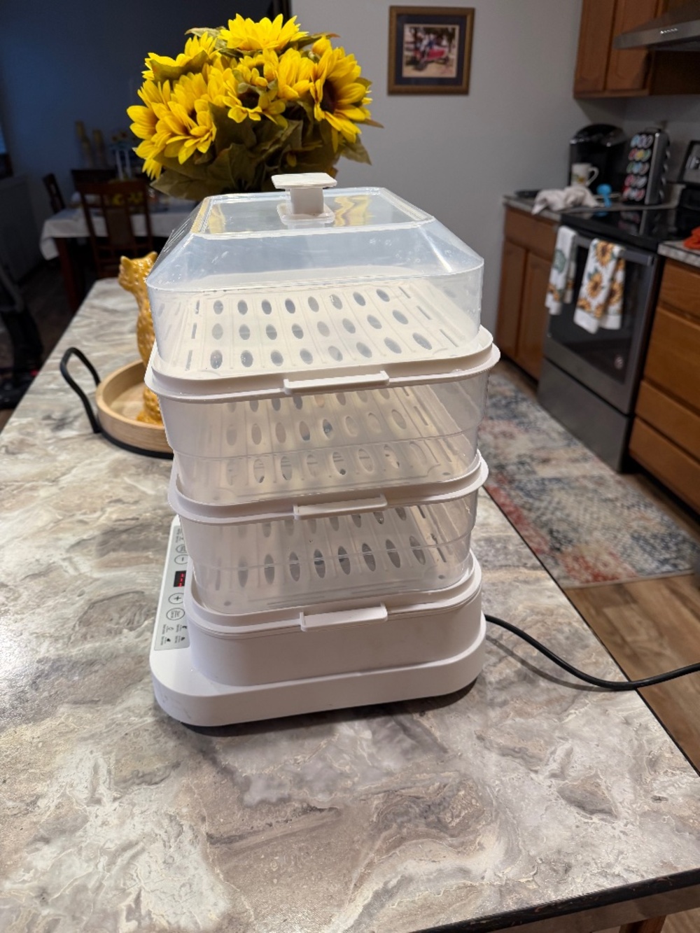 Swiss Thomas multifunctional three tier food steamer model XH – 20 800 W